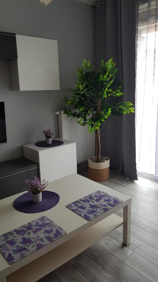 Boznicza Old Town Lux Apartment, Self Check-In 24H, Free Parking بوزنان المظهر الخارجي الصورة