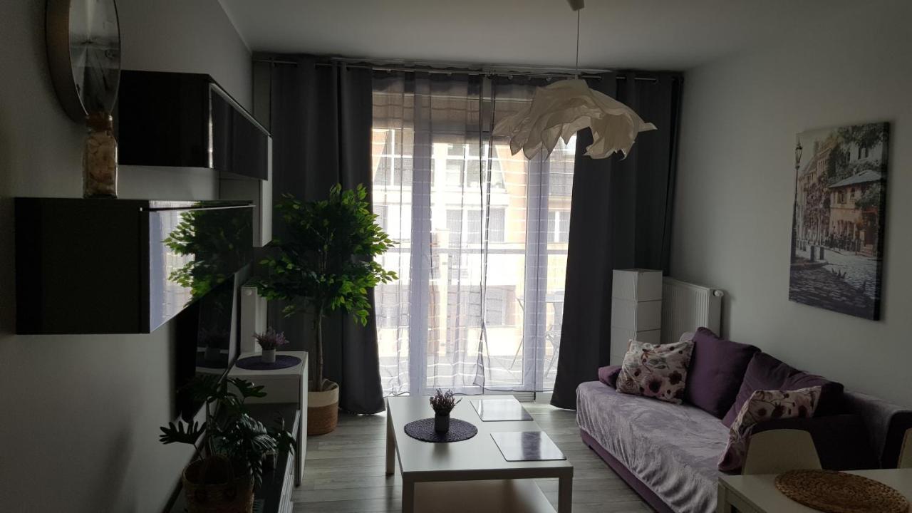 Boznicza Old Town Lux Apartment, Self Check-In 24H, Free Parking بوزنان المظهر الخارجي الصورة
