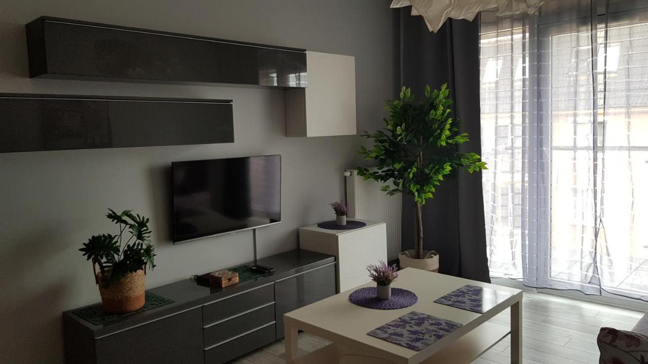 Boznicza Old Town Lux Apartment, Self Check-In 24H, Free Parking بوزنان المظهر الخارجي الصورة