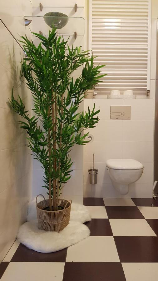 Boznicza Old Town Lux Apartment, Self Check-In 24H, Free Parking بوزنان المظهر الخارجي الصورة