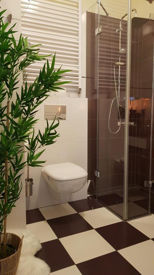 Boznicza Old Town Lux Apartment, Self Check-In 24H, Free Parking بوزنان المظهر الخارجي الصورة